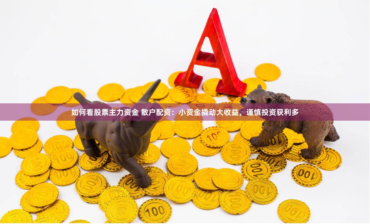 如何看股票主力资金 散户配资：小资金撬动大收益，谨慎投资获利多